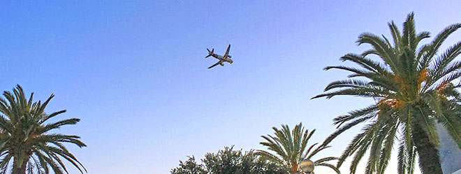 nonstop flights from Fort Lauderdale - plane flying over palm trees