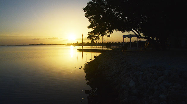 Ibis Bay Beach Resort - Sunrise on the beachfront