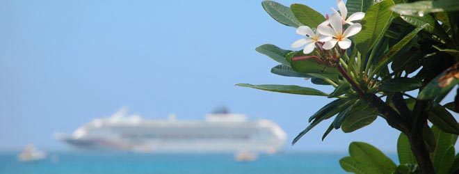 cruise-660x250-iStock_000002004198_Small