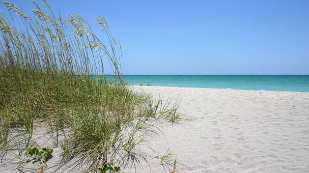 BB-sarasota-florida-iStock_000000272111_Small