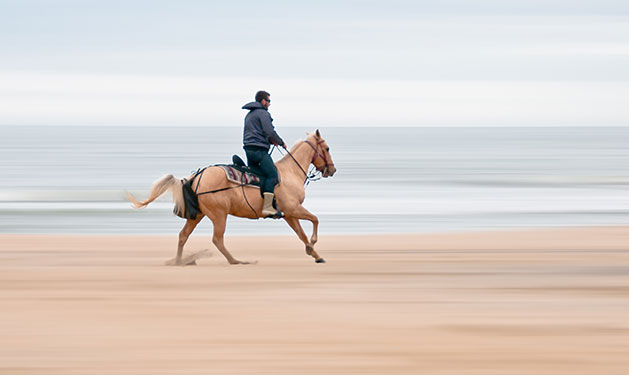 Virginia Beach horseback riding