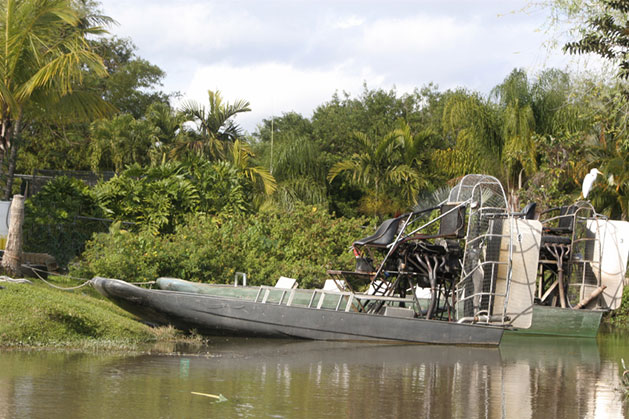 BB-Florida-Boat-Tour-airboat-iStock_000008621566_Small