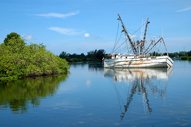 BB-Florida-Boat-Tours-Tarpon-Springs-iStock_000005372777_Small