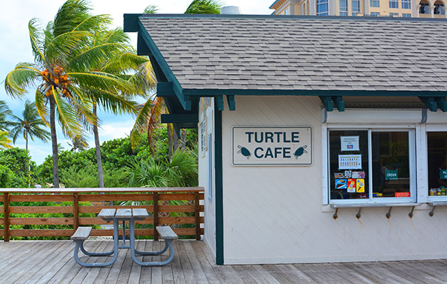 Attractions in Hollywood Beach - North Beach Park
